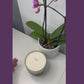 Hand-Poured Scented Natural Wax Candle made in Fairtrade Handmade Recycled Glass with a 40hr burn