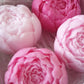 Shades of Pink Rose Scented soaps - thepurehaven