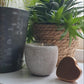 Personalised candle wedding favour in a gold heart tin with natural confetti